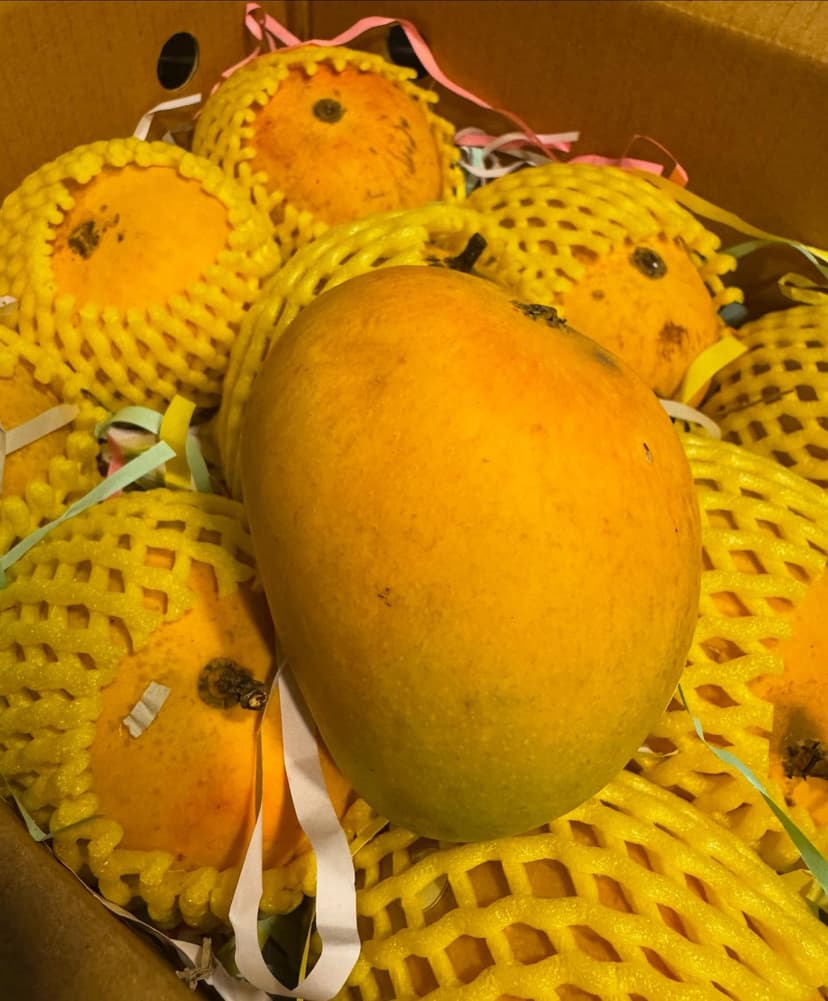 Premium Alphonso Mangoes